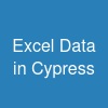 Excel Data in Cypress