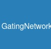 GatingNetwork