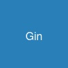 Gin