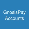 GnosisPay Accounts