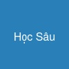 Học Sâu