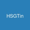 HSGTin
