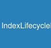 IndexLifecycleManagement