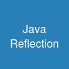 Java Reflection