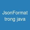 @JsonFormat trong java