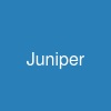 Juniper