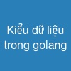 Kiểu dữ liệu trong golang