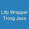 Lớp Wrapper Trong Java