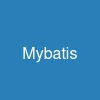 Mybatis