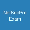 NetSec-Pro Exam