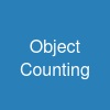 Object Counting