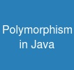 Polymorphism in Java