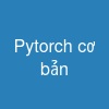 Pytorch cơ bản