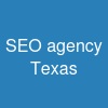 SEO agency Texas