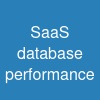 SaaS database performance