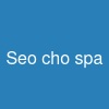 Seo cho spa