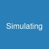 Simulating