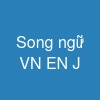 Song ngữ: VN - EN - J