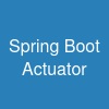 Spring Boot Actuator