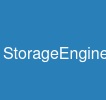 StorageEngine