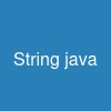 String java