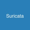 Suricata