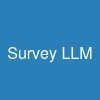 Survey LLM