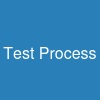 Test Process