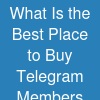 What Is the Best Place to Buy Telegram Members Fast in 2026?