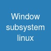 Window subsystem linux