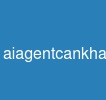aiagentcankhanangchaycode