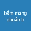 bấm mạng chuẩn b