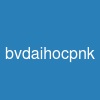 bvdaihocpnk