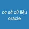 cơ sở dữ liệu oracle