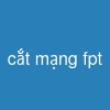 cắt mạng fpt