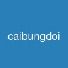 caibungdoi