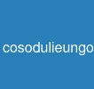 cosodulieungoai