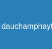 dauchamphaytrongjava