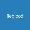 flex box