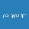 gói giga fpt