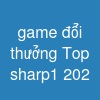 game đổi thưởng Top sharp1 202