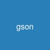 gson