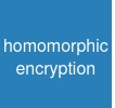 homomorphic encryption