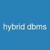 hybrid dbms
