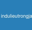 indulieutrongjava