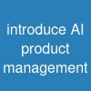 introduce AI product management