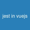 jest in vue.js