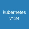 kubernetes v1.24