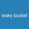 leaky bucket