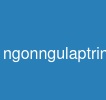 ngonngulaptrinhjava